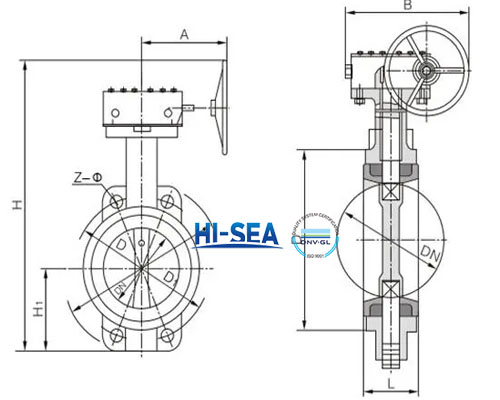 Worm-Gear-Wafer-Butterfly-Valve drawing.jpg